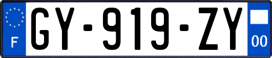GY-919-ZY