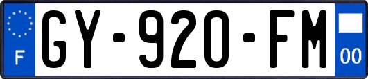 GY-920-FM