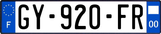 GY-920-FR