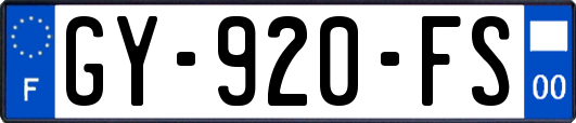 GY-920-FS
