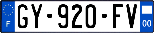 GY-920-FV