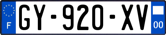 GY-920-XV