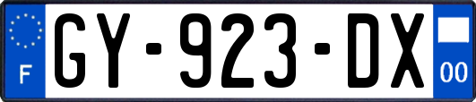 GY-923-DX