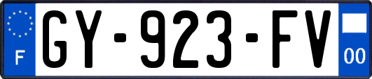 GY-923-FV