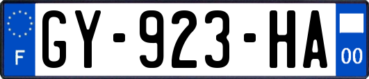 GY-923-HA