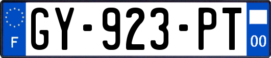 GY-923-PT