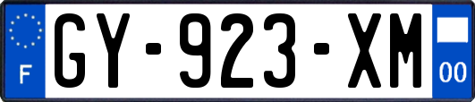 GY-923-XM
