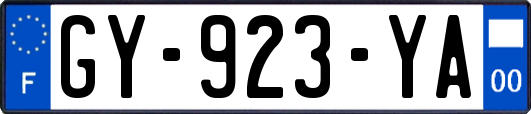 GY-923-YA