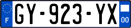 GY-923-YX