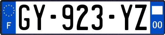 GY-923-YZ