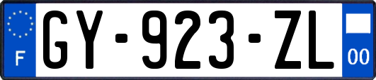 GY-923-ZL