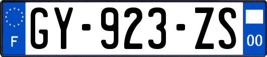 GY-923-ZS