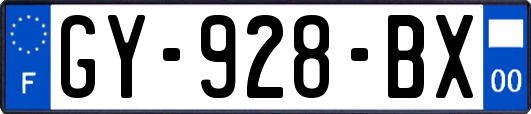 GY-928-BX
