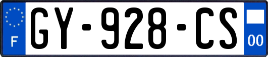 GY-928-CS