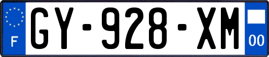 GY-928-XM