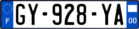 GY-928-YA