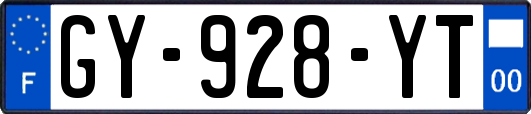 GY-928-YT