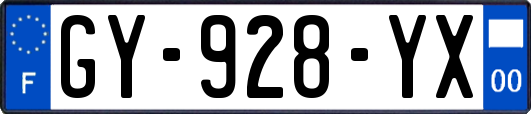 GY-928-YX