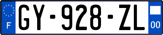 GY-928-ZL