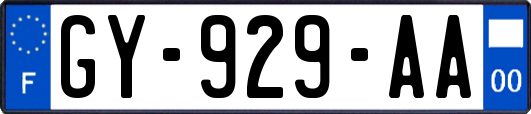 GY-929-AA