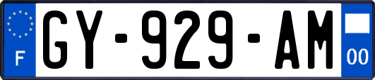 GY-929-AM