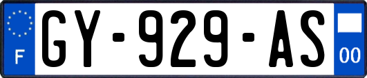 GY-929-AS
