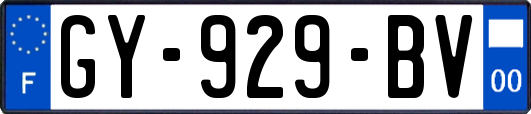 GY-929-BV