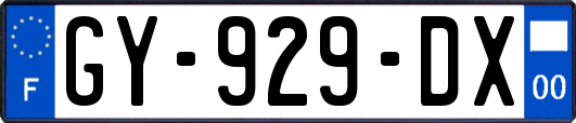 GY-929-DX