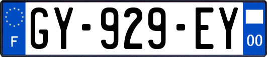 GY-929-EY