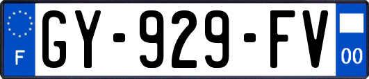 GY-929-FV