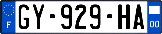 GY-929-HA