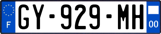 GY-929-MH