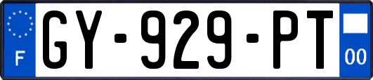 GY-929-PT