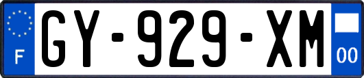 GY-929-XM