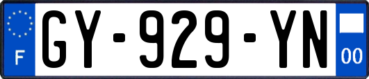 GY-929-YN