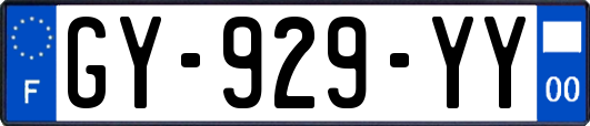 GY-929-YY