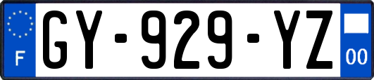 GY-929-YZ