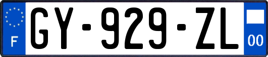 GY-929-ZL