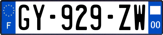 GY-929-ZW