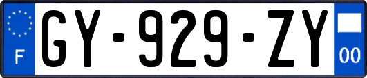 GY-929-ZY