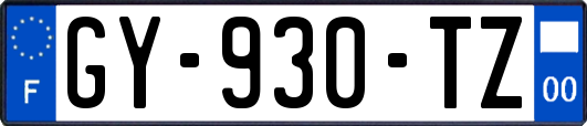 GY-930-TZ