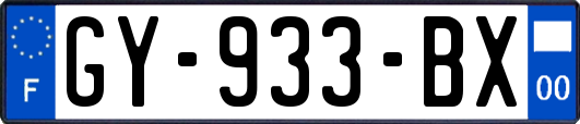 GY-933-BX