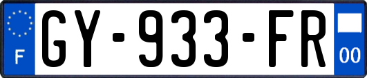 GY-933-FR