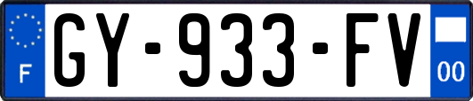 GY-933-FV