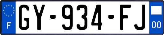 GY-934-FJ