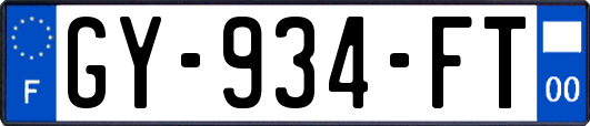 GY-934-FT