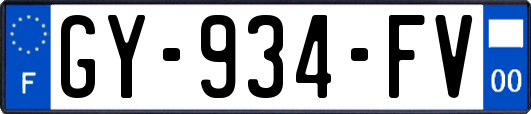 GY-934-FV