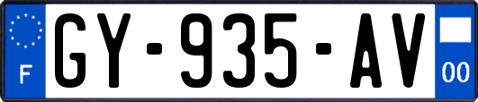 GY-935-AV