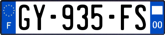 GY-935-FS
