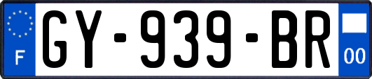 GY-939-BR